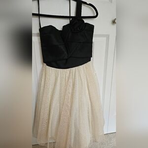Elegant Black and Cream Dress